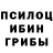Псилоцибиновые грибы Cubensis cristian_9100 escobar