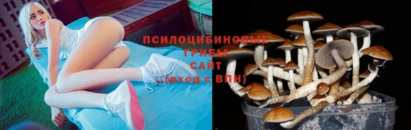 а пвп мука Богородицк