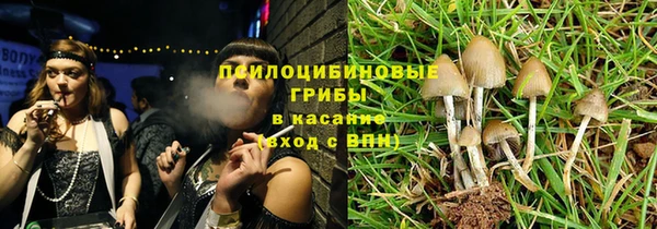 гашик Богородск