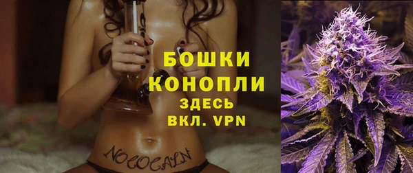 гашиш Богданович